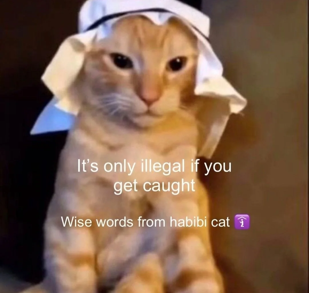 FhRJoxBX0AEH7cr.webp