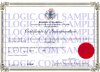 cclogic-incorporation-certificate.jpg