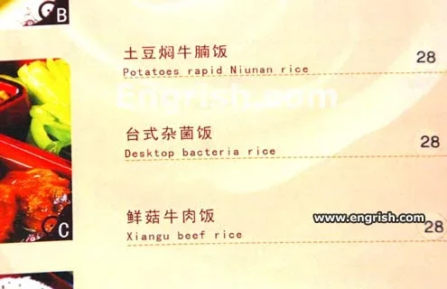 desktop-bacteria-rice.webp desktop-bacteria-rice.webp