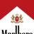 MarlboroRed