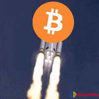 Bitcoin Meme GIF by Crypto Memes ::: Crypto Marketing